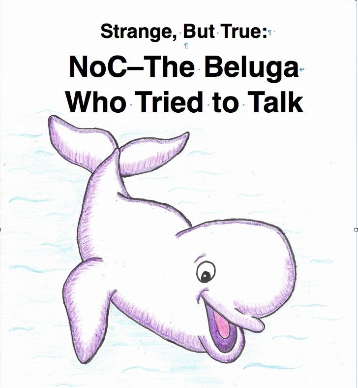 Beluga Whale thumbnail